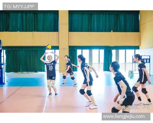 排球盛宴：深入南京排球队的比赛经验与成长之路